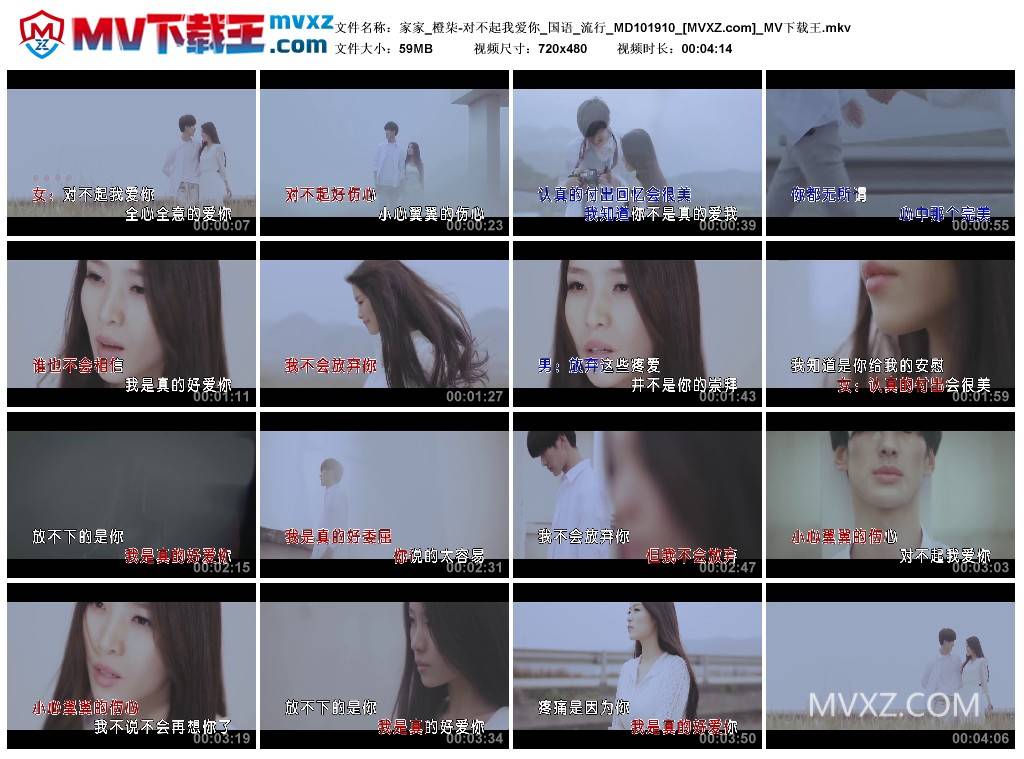 家家_橙柒-对不起我爱你_国语_流行_MD101910